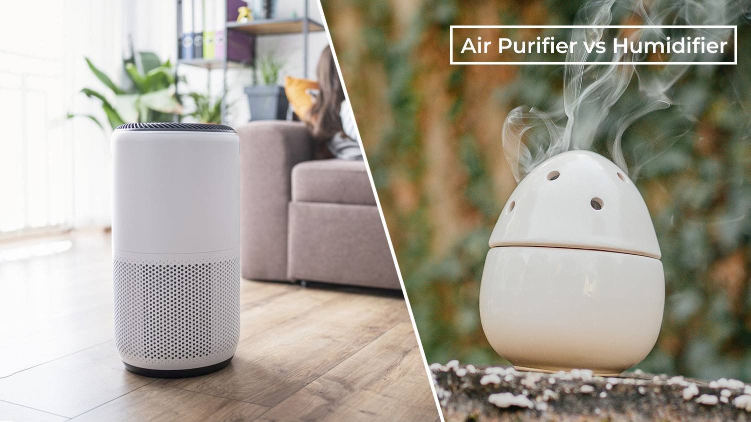 Air Purifiers vs. Humidifiers? Why Not Both? Your Guide to Using Them Together