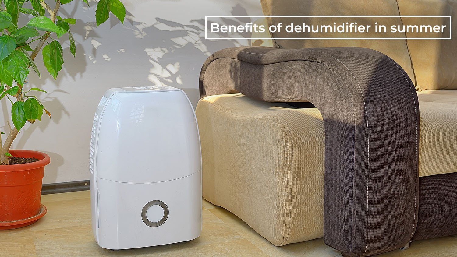 Benefits of Dehumidifier in Summer: How to Stay Cool and Comfortable