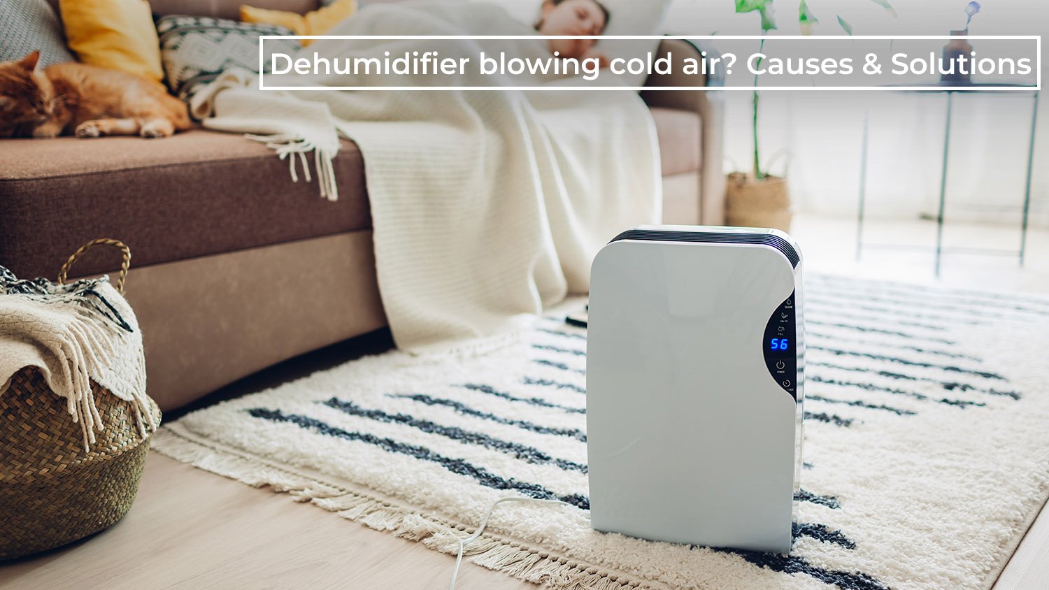 Dehumidifier blowing cold air? Causes & Solutions