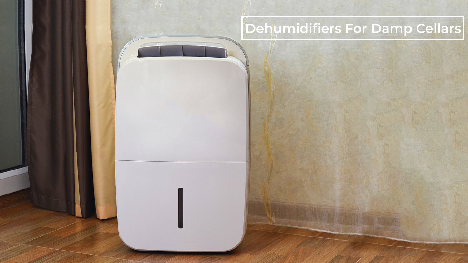 Dehumidifiers For Damp Cellars: How to Protect Your Health and Valuables