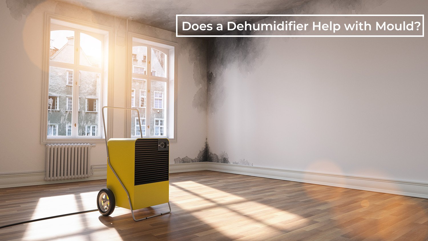 Does a Dehumidifier Help with Mould? A Comprehensive Guide to Fighting Mold with Dehumidifiers
