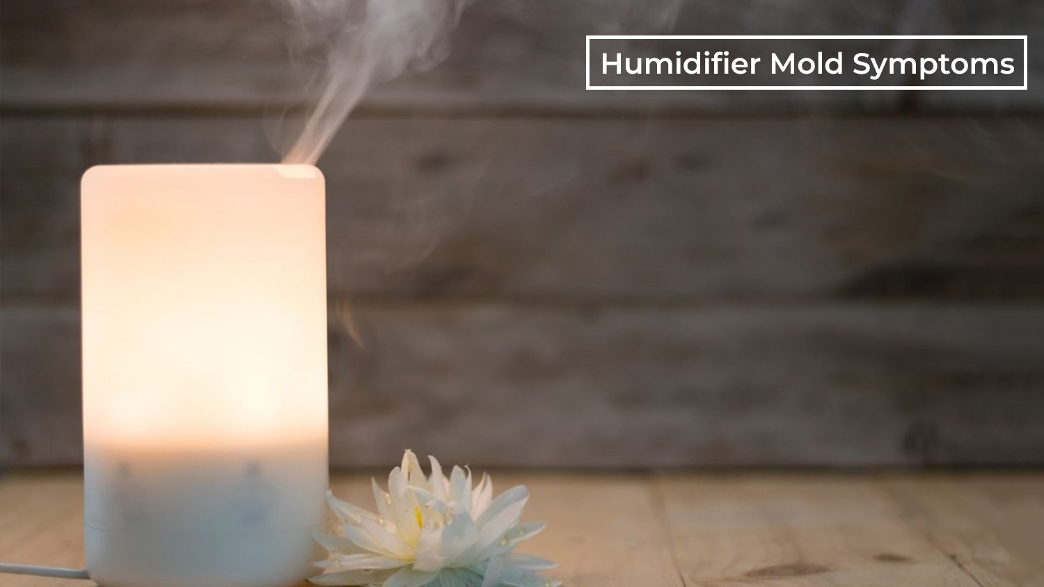 Humidifier Mold Symptoms: The Unseen Risks and How to Prevent Them