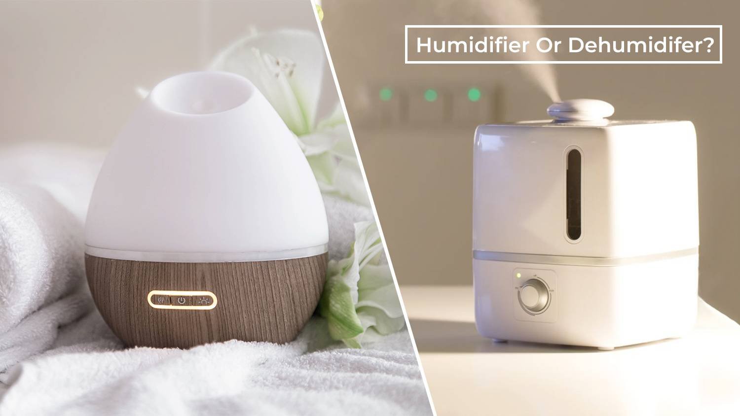 Humidifier vs. Dehumidifier? A Detailed Comparison to Help You Make the Right Choice (Benefits, Costs, and More)