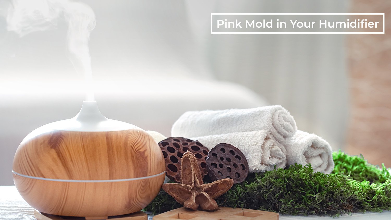 Pink Mold in Your Humidifier: A Comprehensive Guide to Removal & Prevention