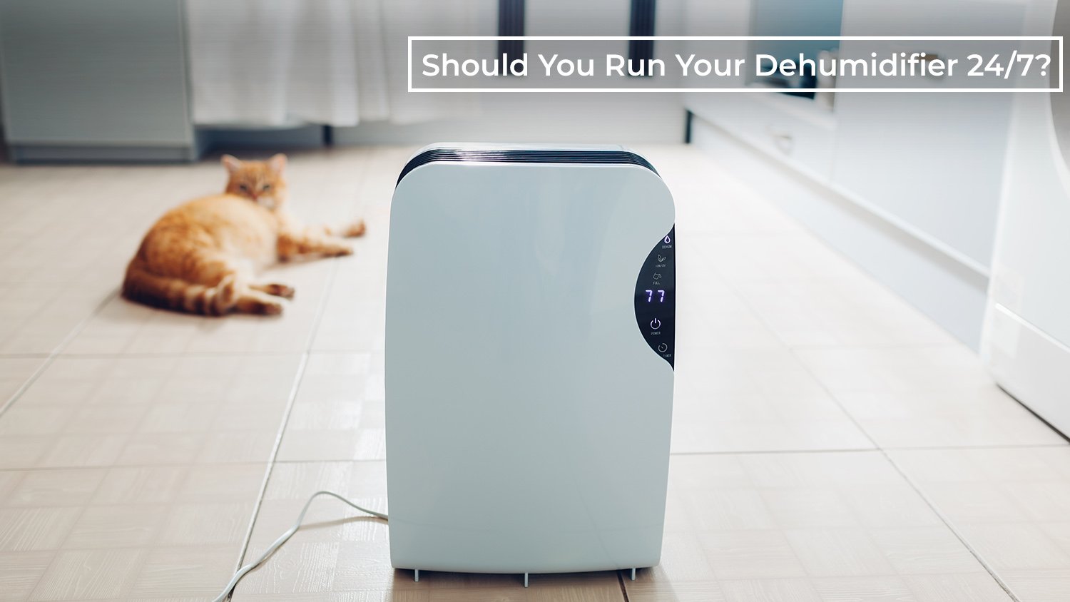 Should Your Dehumidifier Run All the Time? An In-Depth Analysis