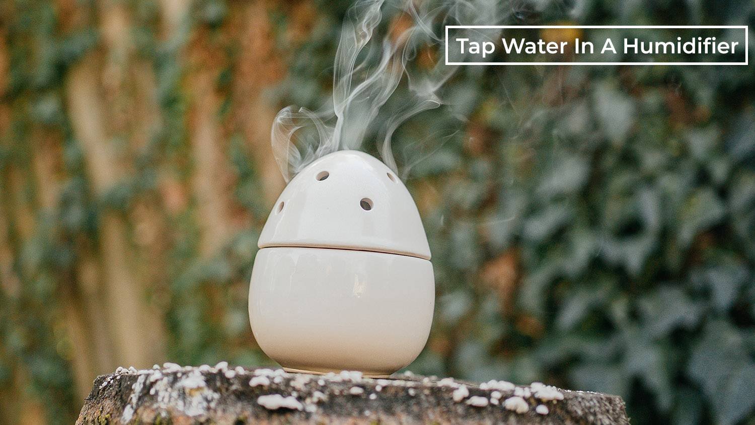 Can You Use Tap Water In A Humidifier? A Comprehensive Guide.
