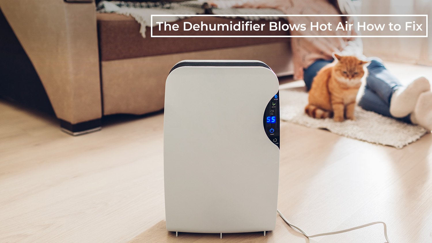 The Dehumidifier Blows Hot Air: How to Fix the Overheating Issue