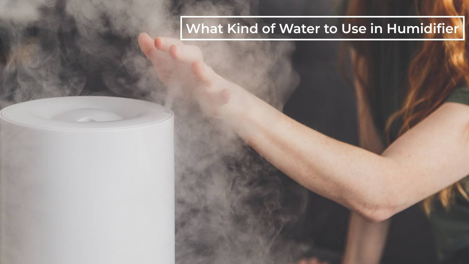 What Kind of Water to Use in Humidifier: Can You Use Distilled, Boiled, or Tap Water? A Complete Guide
