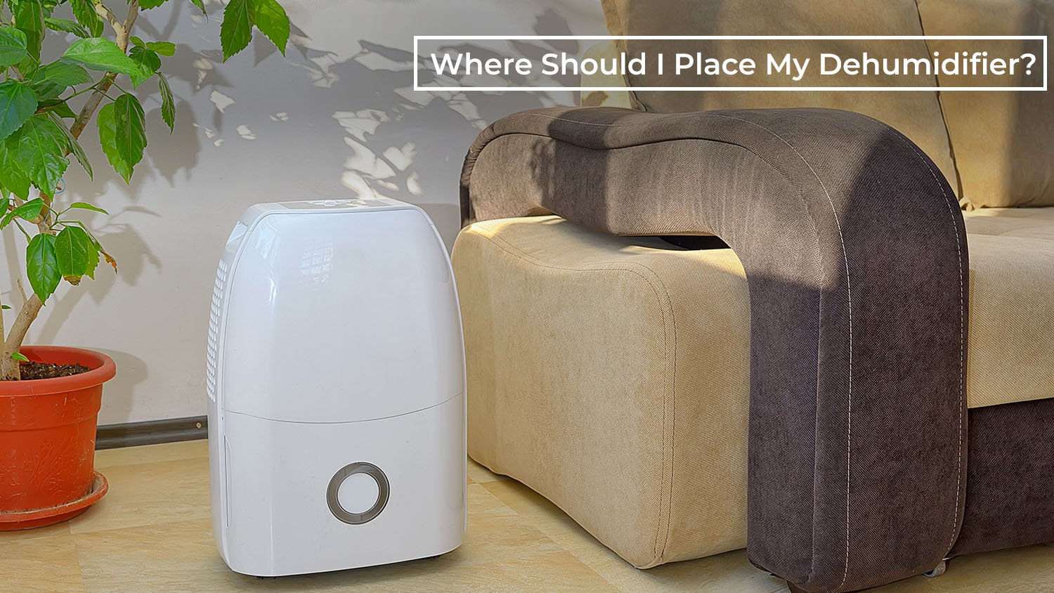Where Should I Place My Dehumidifier? A Comprehensive Guide to Perfect Placement