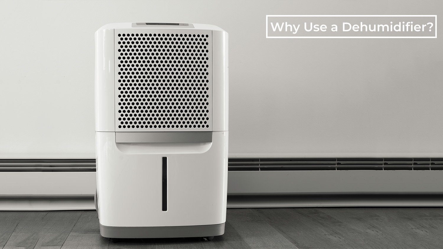 Why Use a Dehumidifier? Health, Comfort, and Savings Explained