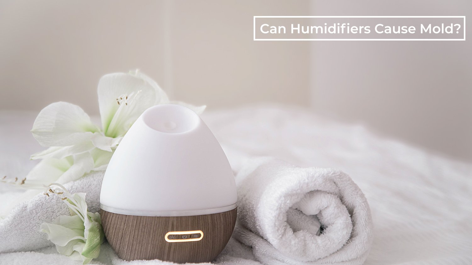 Can Humidifiers Cause Mold? Separating Fact from Fiction