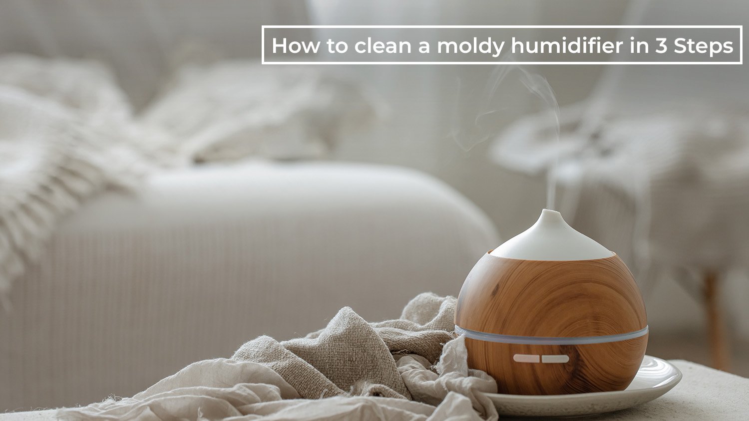 The Ultimate Guide: How to Clean a Moldy Humidifier in 3 Steps