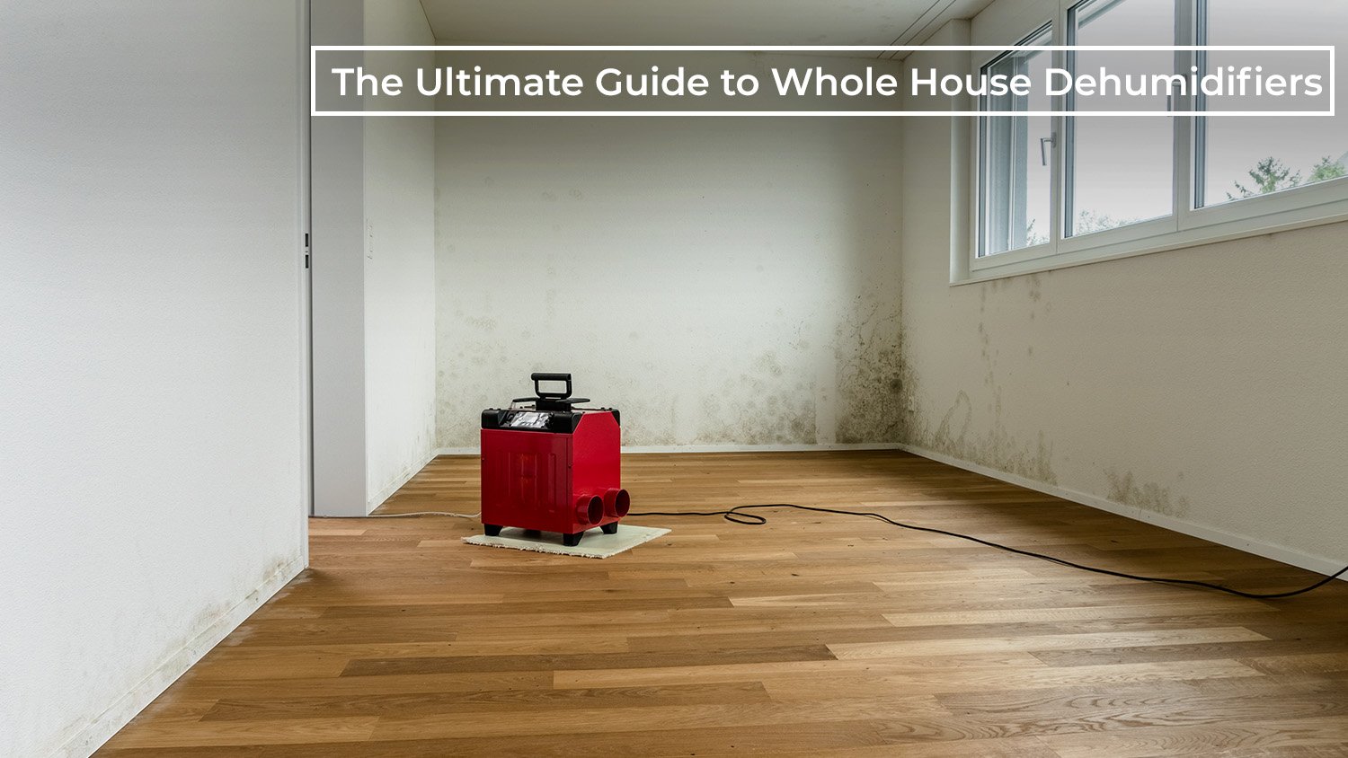 The Ultimate Guide to Whole House Dehumidifiers: How They Work, Benefits, and More