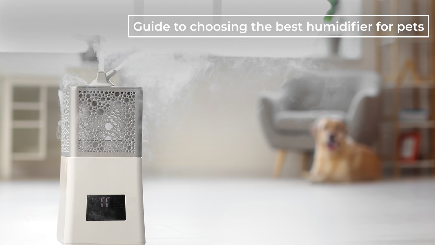 The ultimate guide to choosing the best humidifier for pets