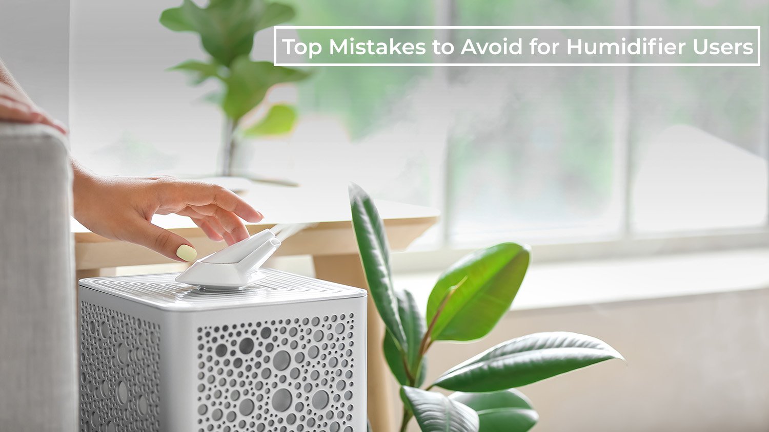 Top Mistakes to Avoid for Humidifier Users: A Comprehensive Guide