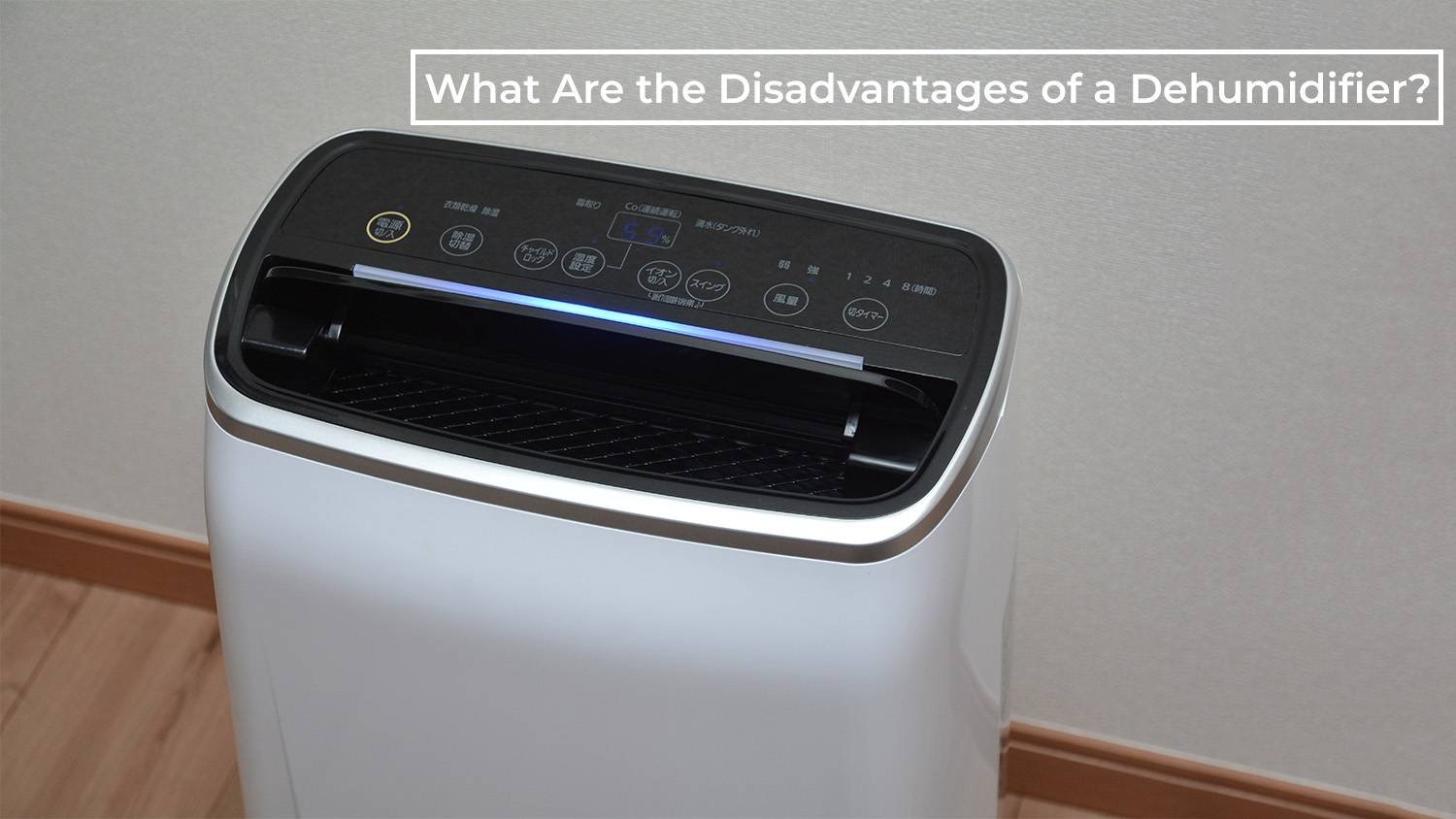 What Are the Disadvantages of a Dehumidifier? The Hidden Costs and Challenges